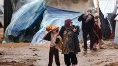 واشنطن: نداءات إنسانية تُركّز على غزة في عيد الشكر وتدعو لمساعدة النازحين