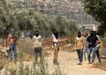مستوطنون يهاجمون المغير شرق رام الله