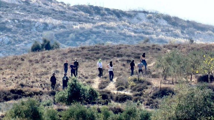 مستوطنون يُمهدون طرقا ترابية في الأغوار الشمالية