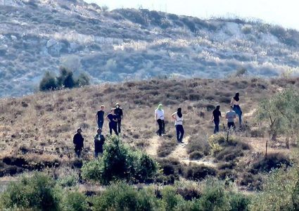 مستوطنون يُمهدون طرقا ترابية في الأغوار الشمالية