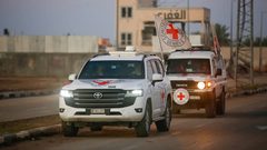 الصليب الأحمر: دعمٌ متواصل لانتشال جثامين الشهداء وسط تعقيدات العمل الميداني