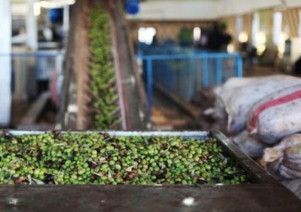 وزارة الاقتصاد الوطني تعلن فتح باب استيراد زيت الزيتون