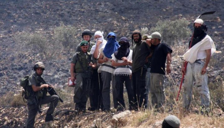 إصابة رئيس مجلس قروي سوسيا بكسور جراء اعتداء للمستوطنين جنوب الخليل