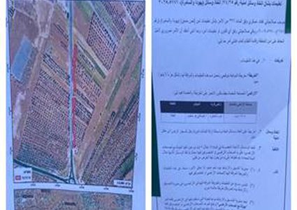 الاحتلال يخطر بإزالة مئات أشجار الزيتون في تقوع جنوب شرق بيت لحم