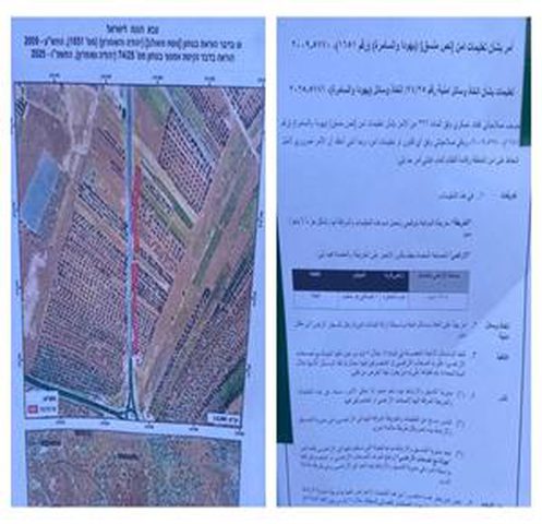 الاحتلال يخطر بإزالة مئات أشجار الزيتون في تقوع جنوب شرق بيت لحم