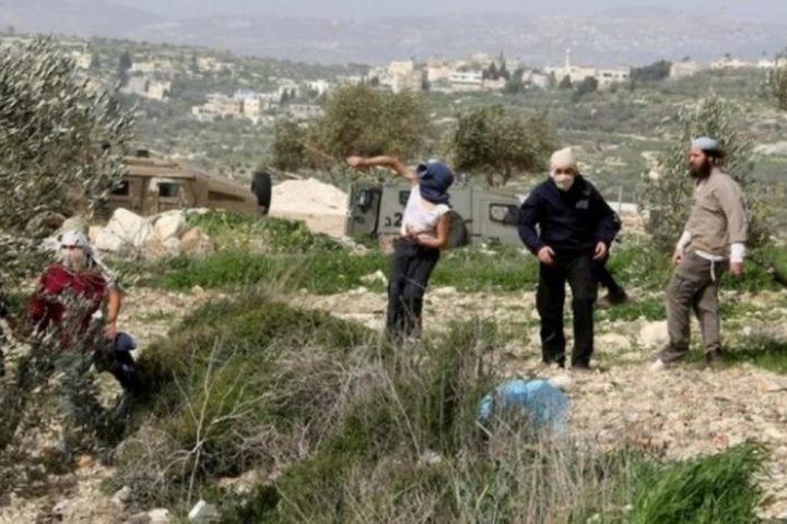 إصابة مسنة وحفيدها ومتضامنتين أجنبيتين في اعتداء للمستوطنين شرق رام الله