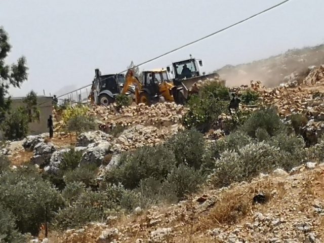 الاحتلال يجرف أراضي ويقتلع عشرات أشجار الزيتون في قريوت جنوب نابلس