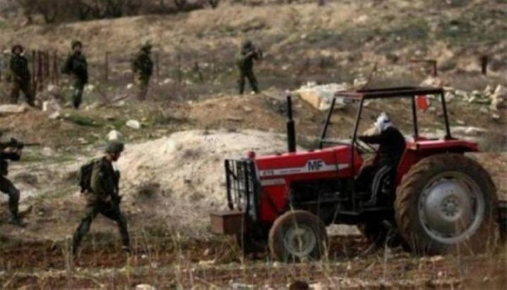 مستوطنون يسرقون طيورا ومعدات زراعية غرب أريحا