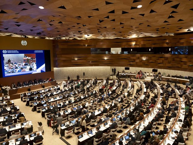 اليماحي: تصويت 164 دولة أمميًا يؤكد حق الفلسطينيين في تقرير المصير