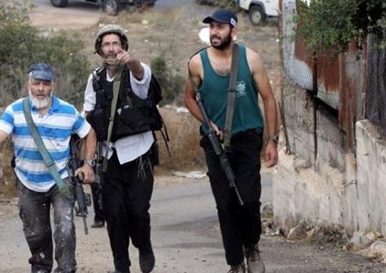 مستوطنون يعتدون على مواطنين وجنود الاحتلال يعتقلون شقيقين شمال الخليل