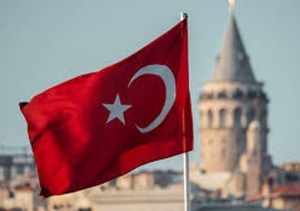 تركيا: اعتقال 137 شخصا يشتبه بهم في التخطيط لشن هجمات "إرهابية"