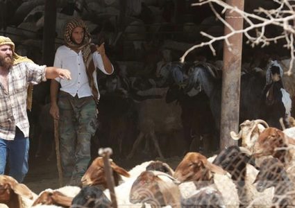 مستوطنون يعتدون على مواطنين ويسرقون 150 رأسا من الأغنام في دير دبوان