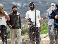 مستوطنون يقتحمون ترمسعيا شمال رام الله ويعتدون على ممتلكات المواطنين