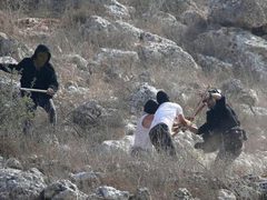 مستوطنون يهاجمون تجمع خلة السدرة قرب مخماس