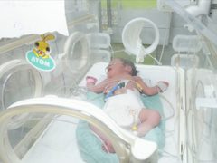 صحة غزة: تراجع الولادات 40% مقارنة بالعام السابق في غزة