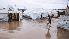 غزة: أزمة إنسانية كارثية ونازحون بلا مأوى وسط اشتداد المنخفض الجوي