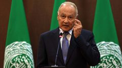 أبو الغيط يدعو إلى وقف التصعيد وتغليب لغة الحوار في اليمن