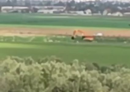 الاحتلال يقتلع أشجار زيتون في زبوبا