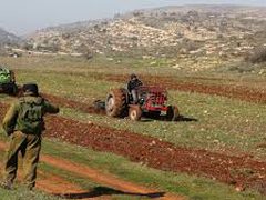 مستوطنون يحرثون أراض المواطنين تمهيدا للاستيلاء عليها في شلال العوجا شمال أريحا