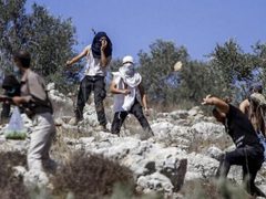 مستوطنون يهدمون منشأتين زراعيتين ويطاردون المواطنين في الخليل