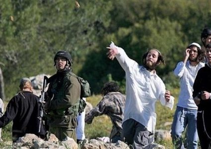 مستوطنون يهاجمون منازل المواطنين في منطقة "خلايل اللوز" ببيت لحم
