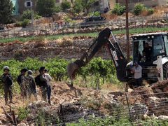 الاحتلال يجرف أراضي ويقتلع أشجار زيتون في ترمسعيا