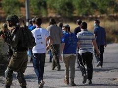 مستوطنون يقتحمون مسجدا في دير بلوط غرب سلفيت