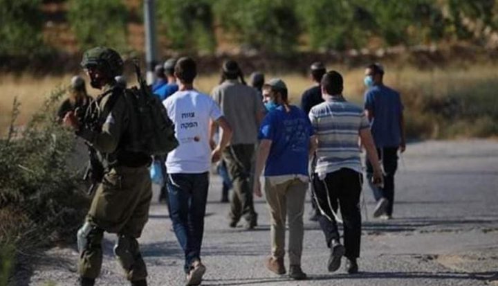 مستوطنون يقتحمون مسجدا في دير بلوط غرب سلفيت