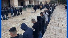 50 ألف مصل أدوا صلاة الجمعة في رحاب المسجد الأقصى المبارك