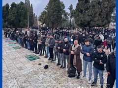 50 ألف مصل أدوا صلاة الجمعة في رحاب المسجد الأقصى المبارك