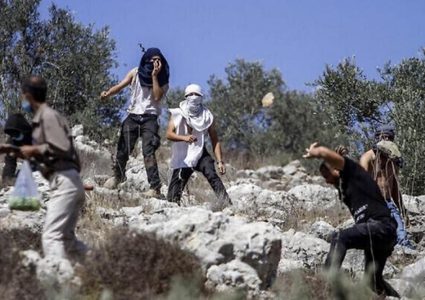 مستوطنون يصيبون طفلا بالرصاص ويدمرون محاصيل زراعية في كيسان شرق بيت لحم