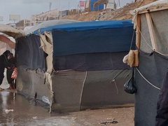 الصحة بغزة تنفي وجود حالات بمرض "الليبتوسبيروسس" في القطاع