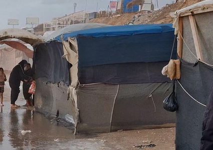 الصحة بغزة تنفي وجود حالات بمرض "الليبتوسبيروسس" في القطاع