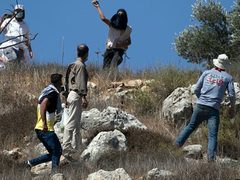 مستوطنون يعتدون على مواطنين في خربة الحمة بالأغوار الشمالية