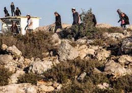 مستوطنون يعتدون على مواطن في قرية بردلة بالأغوار الشمالية