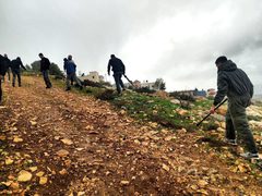 مستوطنون يعتدون على أرض زراعية في رابا جنوب جنين