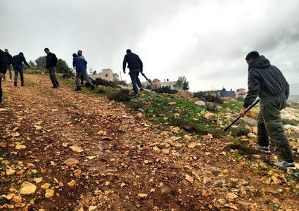 مستوطنون يعتدون على أرض زراعية في رابا جنوب جنين