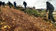 مستوطنون يعتدون على أرض زراعية في رابا جنوب جنين