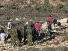 الاحتلال يعتقل مواطنا عقب إصابته باعتداء للمستوطنين جنوب الخليل