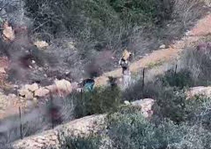 مستوطنون يقتحمون منطقة "الفوارة" في كفر الديك غرب سلفيت