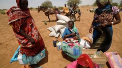 21 مليون سوداني يعانون نقصا حادا في الغذاء