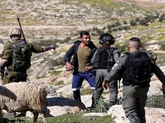 مستوطنون يهاجمون رعاة أغنام في مسافر يطا