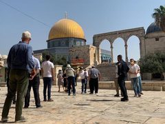 الأوقاف: 280 اقتحامًا للأقصى و769 منعًا للأذان في الحرم الإبراهيمي خلال 2025