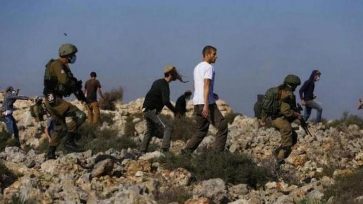 قوات الاحتلال ومستوطنون يقتحمون الرشايدة ويحاولون الاستيلاء على أغنام