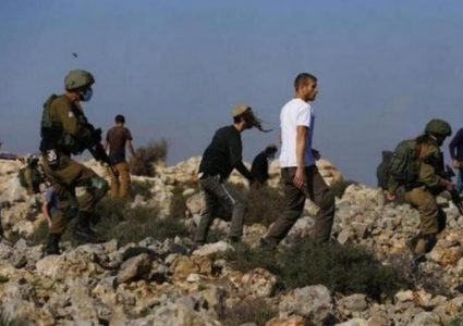 قوات الاحتلال ومستوطنون يقتحمون الرشايدة ويحاولون الاستيلاء على أغنام