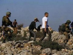 قوات الاحتلال ومستوطنون يقتحمون الرشايدة ويحاولون الاستيلاء على أغنام