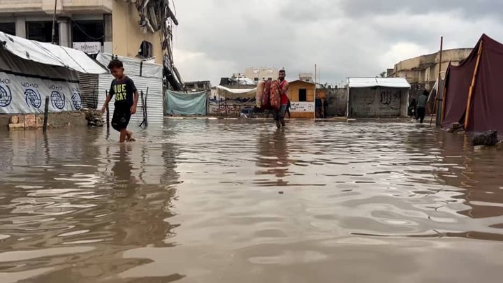 مصر تدعو للانتقال للمرحلة الثانية من الخطة الأمريكية بشأن غزة