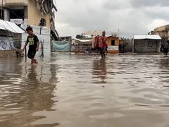 مصر تدعو للانتقال للمرحلة الثانية من الخطة الأمريكية بشأن غزة