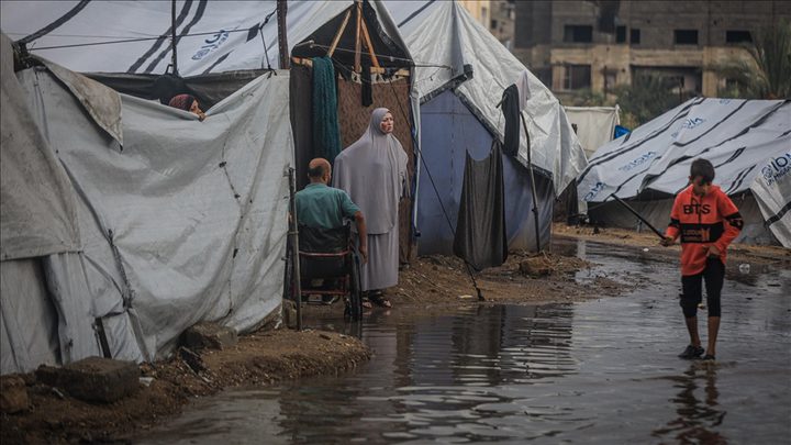 أمجد الشّوا للنجاح: إدخال البيوت المتنقلة مطلب عاجل لإنقاذ النازحين في غزة