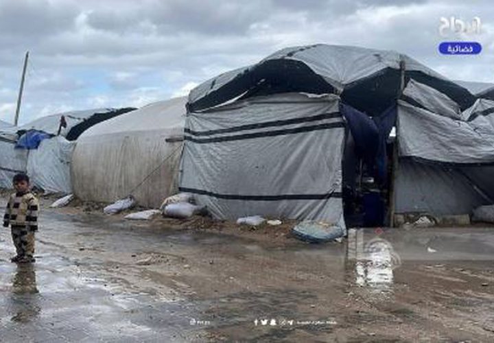 أوضاع قاسية جدا يعيشها النازحون في ميناء غزة غرب المدينة، بسبب المنخفض الجوي.